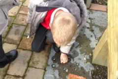 Y2 Science in the garden