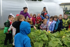 Year 1 Exploring the Garden