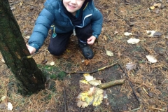 Year 1 Forest Schools
