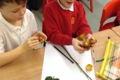 Year 2 Investigating plants