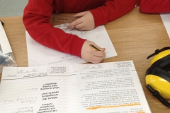 Year 2 - Saving Orangutans