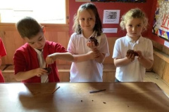 24-Y3-Binchester-Aut25