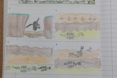 Year 3 Exploring Rocks and Fossils