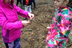 Year 3 Forest Schools