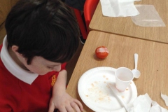 Year 3 Mummifying Tomatoes