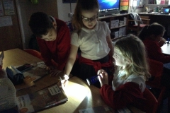 Year 3 Science Investigation