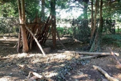 13-y4-den-building-aut22