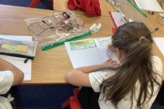 17-y4-electricity-aut24