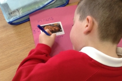 Year 4 Investigating Adverts