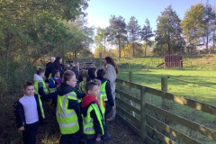 02-y4-jarrow-hall-aut24