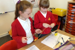 Year 4 Science Electricity