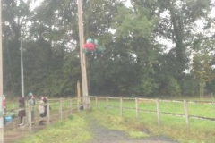 06-y5-3g-swing-aut22