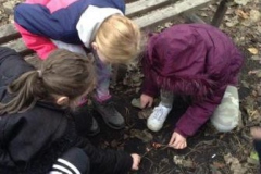 2-y5-fire-lighting-aut22