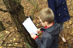 Year 5 Forest Schools