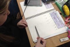 Year 5 Insect Sketching