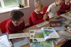 Year 5 Investigating Deforestation