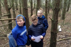 Year 6 Forest Schools Trail Building