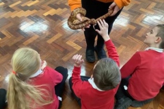 02-y3-animal-handling-spr22