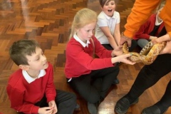 03-y3-animal-handling-spr22