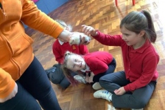 06-y3-animal-handling-spr22