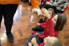 08-y3-animal-handling-spr22