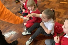 10-y3-animal-handling-spr22