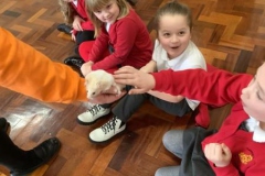11-y3-animal-handling-spr22