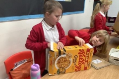 2-y3-investigating-nets