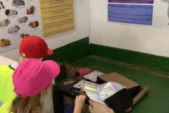 13-y3-northumberland-zoo-tour-sum22