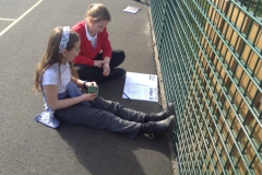 08-year-6-checking-heartbeats