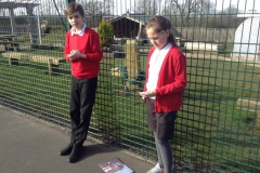 09-year-6-checking-heartbeats